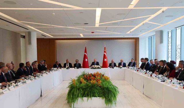 Cumhurbaşkanı Erdoğan, ABD İş Konseyi Başkanı Ulukaya ile görüştü