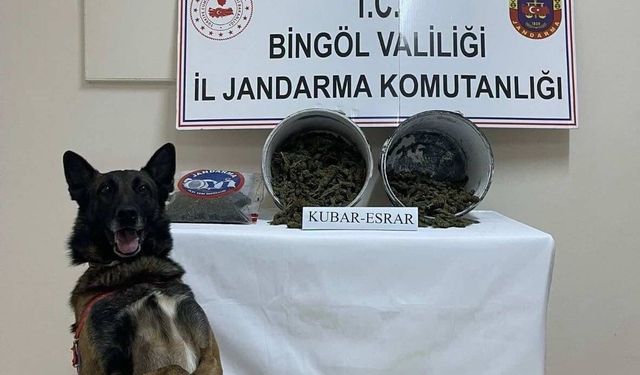Bingöl’de 2 kilo esrar ele geçirildi: 1 tutuklama