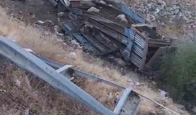 Bingöl’de hayvan taşıyan kamyon şarampole yuvarlandı: 2 yaralı, çok sayıda küçükbaş telef oldu