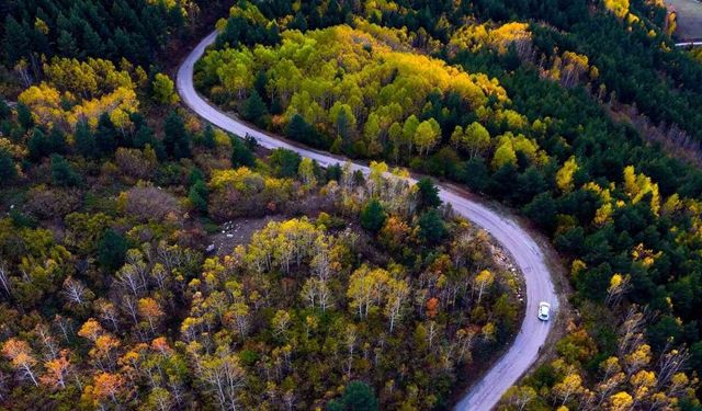 Gümüşhane’nin Alpleri aratmayan sonbahar güzelliği