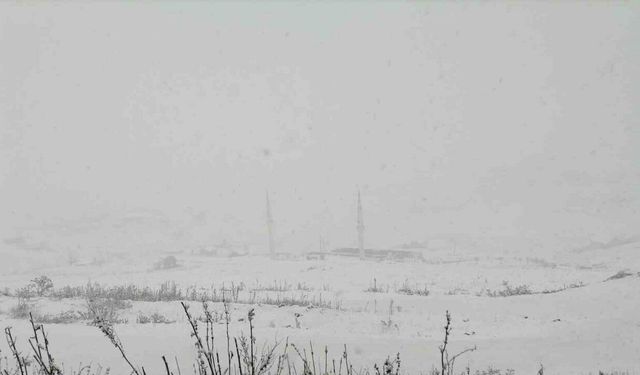 Gümüşhane’nin yüksek kesimleri kara teslim oldu