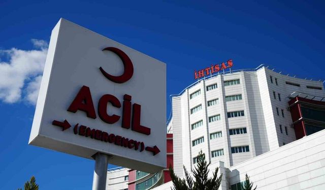 Hayvan otlatma meselesi silahlı kavgaya dönüştü: Yaşlı adam çobanı vurdu