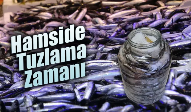 Hamside tuzlama zamanı geldi