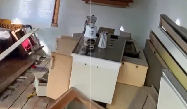 Rize yaylalarında ayı paniği: 20 ev talan edildi