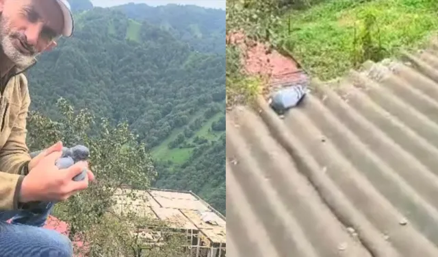 Köy sakininin dikkati ve duyarlılığı bir güvercini hayata bağladı