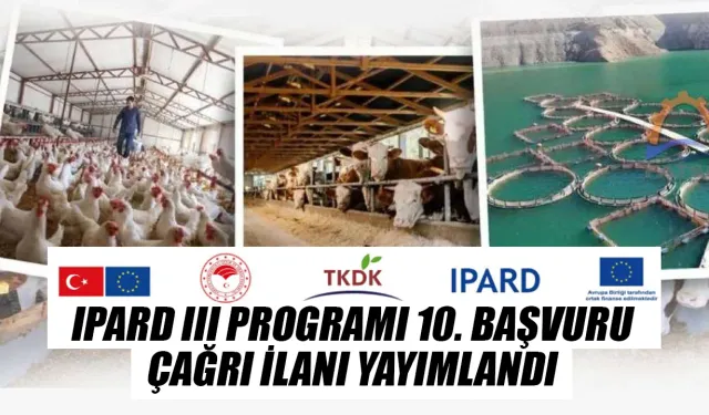IPARD III Programı'nın 10'uncu başvuru çağrı ilanı yayımlandı