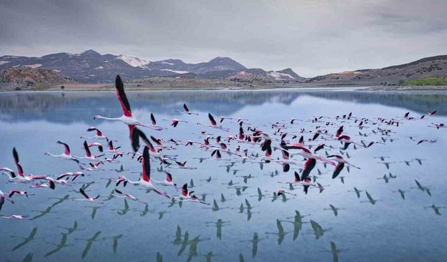 2 yıl önceye kadar flamingoları ağırlayan gölde şimdi sadece ayak izleri kaldı