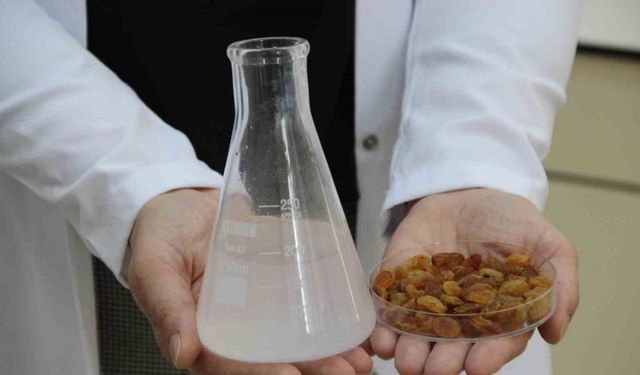 500 milyon dolarlık ihracata bilimsel kalkan