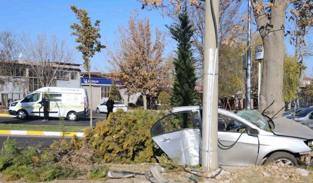 Ağaca çarpan otomobil ikiye bölündü: 2 ölü 1 yaralı