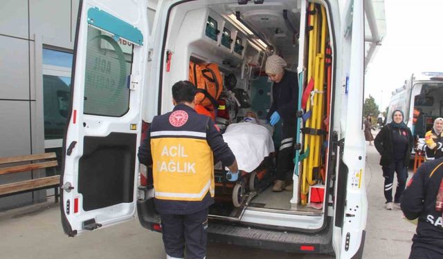 Ahırda dananın teptiği besici hastanelik oldu