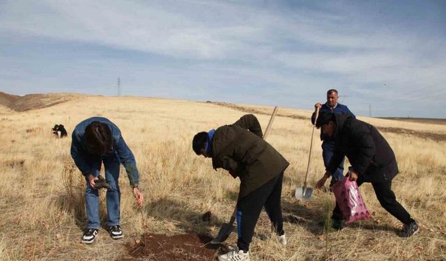 Ahlat’ta "Maziden Atiye" programı kapsamında öğrenciler fidan dikti