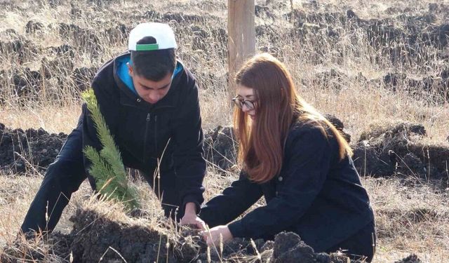 Ardahan’da Milli Ağaçlandırma Günü’nde fidanlar toprakla buluştu