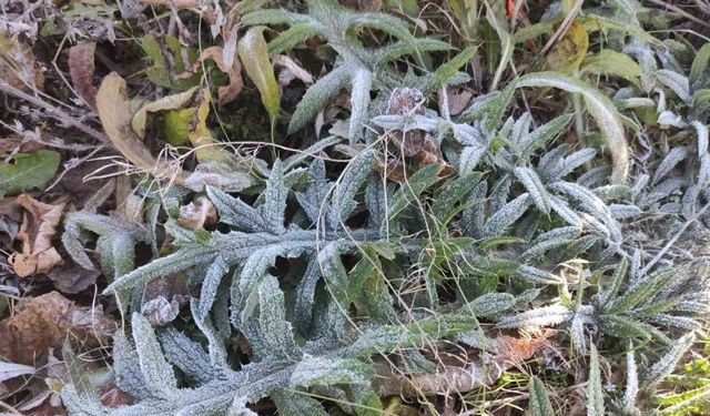 Ardahan’ın Göle ilçesi Türkiye’nin en soğuk yerleşim yeri oldu