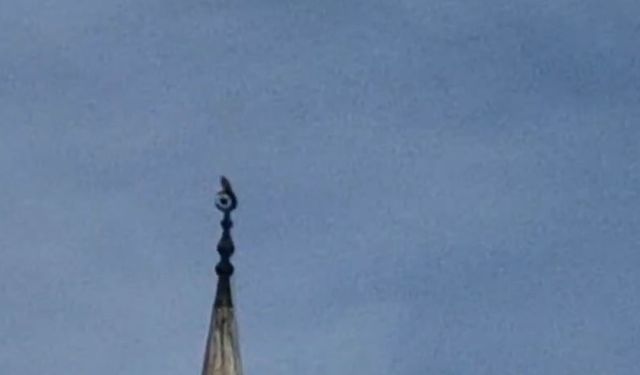 Bartın’da gökdoğan heyecanı