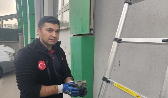 Batman’da kolonlara sıkışan kuş kurtarıldı