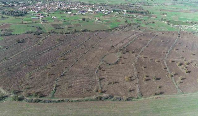Biga’da proje çerçevesinde 2 yılda 845 dekar mera alanı ıslah edildi