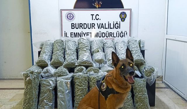 Burdur’da 36 kilo skunk maddesi ele geçirildi, operasyon görüntülüleri film sahnelerini aratmadı