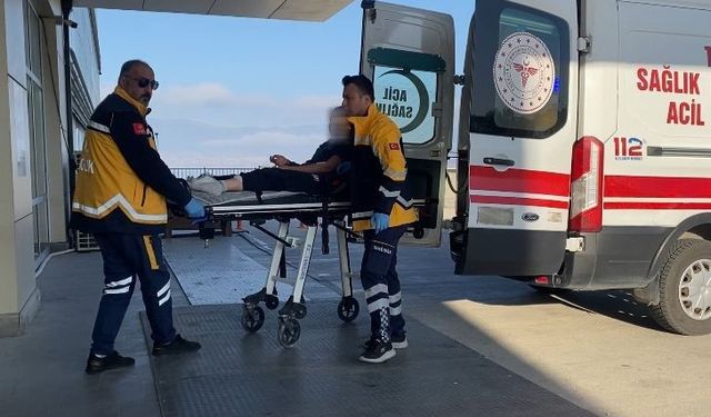 Burdur’da sokak köpekleri küçük kıza dehşeti yaşattı