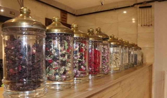 Çeşit çeşit bulunuyor, isimleri ile dikkat çekiyor