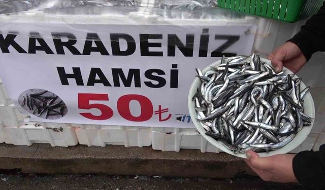 Denize kıyısı olmayan şehirde hamsinin kilosu 50 TL’ye düştü, vatandaş poşet poşet aldı
