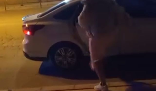 Elazığ’da bir kadın, tartıştığı şahsın arabasına saldırdı