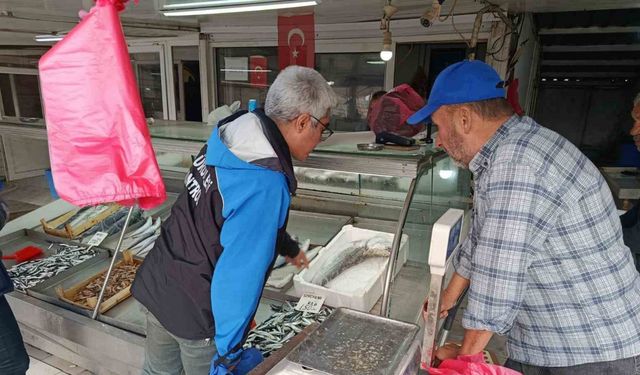 Gelibolu’da balık satış yerlerinde denetim