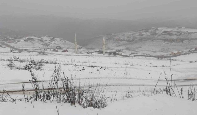 Gümüşhane’nin yüksek kesimleri beyaza büründü