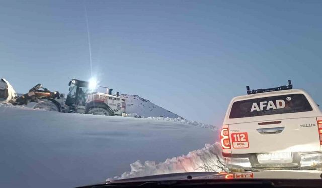 Hakkari’de 3 günlük kurtarma operasyonunda mutlu son: Binmizit yaylasındaki hayvanlar kurtarıldı