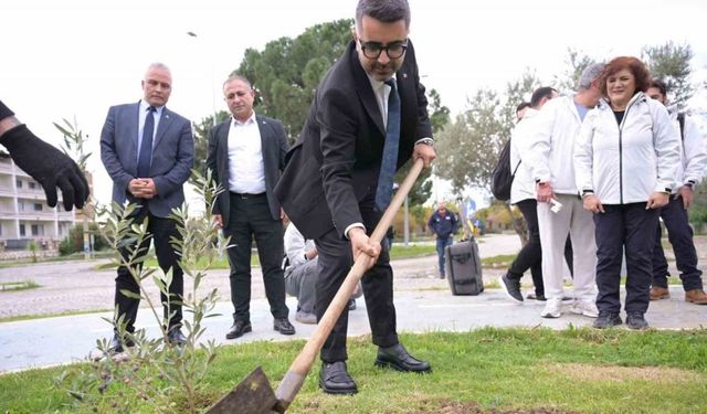 Kar Spor İda Ultra öncesinde zeytin fidanları toprakla buluştu