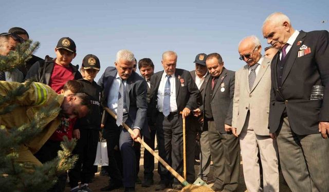 Kırıkkale’de binlerce fidan toprakla buluşturuldu