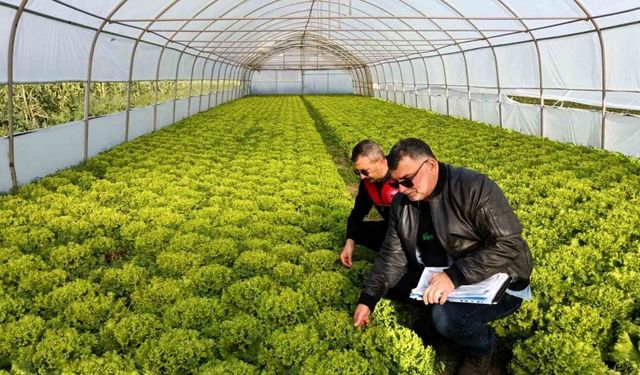 Kırklareli’nde sera denetimleri