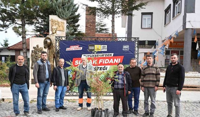 Konya Büyükşehir’den üreticiye sumak fidanı desteği