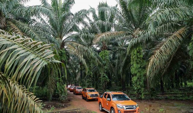 Malezya ile ABD arasında palm yağı savaşı