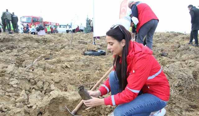 Milli Ağaçlandırma Günü’nde Uşak’ta fidanlar toprakla buluştu