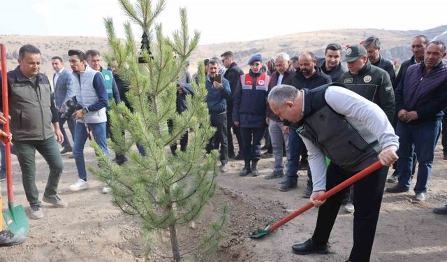 Nevşehir’de 18 bin 500 fidan toprakla buluştu