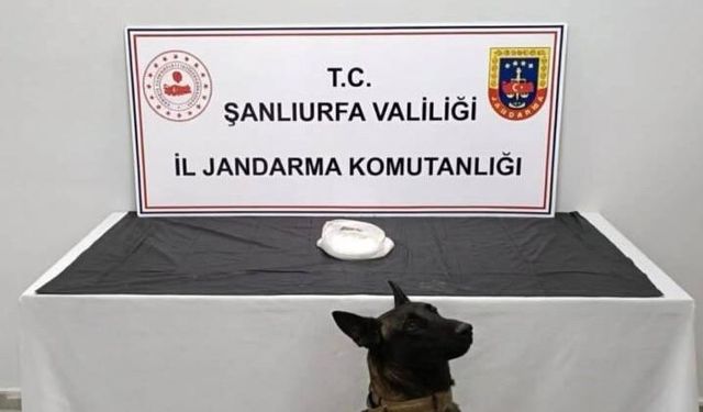 Şanlıurfa’da uyuşturucu operasyonu: 2 gözaltı
