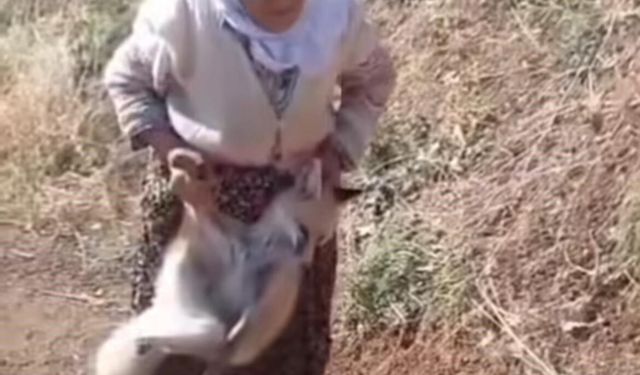 Sason’un cesur ninesi Tayyibe Nine hayatını kaybetti