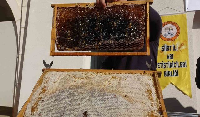 Siirt’te arıcılara 41 milyon 436 bin liralık destek