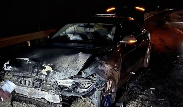 Sinop Belediye Başkanı Gürbüz’ün makam aracı domuz sürüsüne çarptı