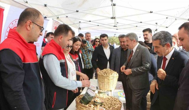 Şırnak’ta 25 bin ton yer fıstığı rekoltesi bekleniyor