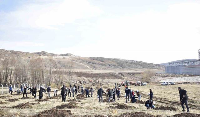 Sivas OSB’de yeşil dönüşüm binlerce fidan toprakla buluşuyor