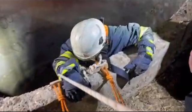 Su kuyusuna düşen çakalı itfaiye ekipleri kurtardı