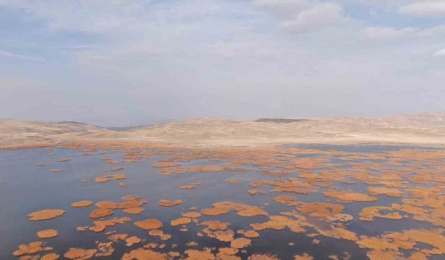 Van’da tarih ve doğa buluşması: Sonbaharın son haftasında kartpostallık manzaralar oluştu