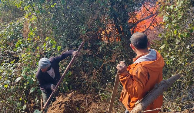 Artvin Hopa’da 5 hektarlık alanı küle çeviren yangınla mücadele sürüyor