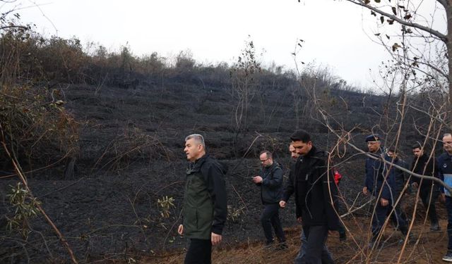 Artvin Valisi Ergün: "Yangın kısmen kontrol altına alındı"