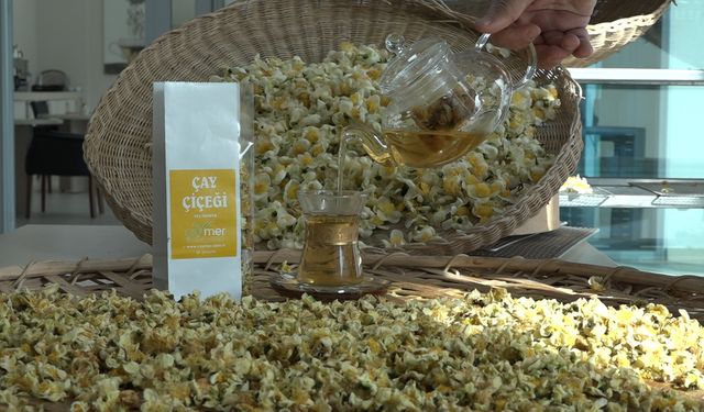 Çayın yeni ürünü ‘Çay çiçeği çayı’ fiyatı dudak uçuklattı