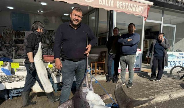 138 kiloluk kılıç balığı ilgi odağı oldu