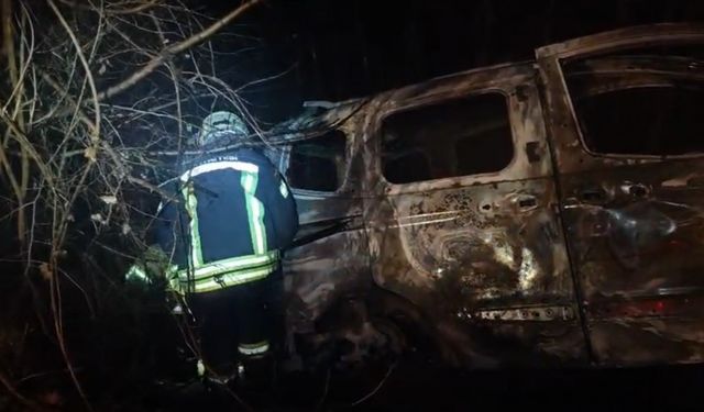 Ağaca çarpan araç alev alev yandı