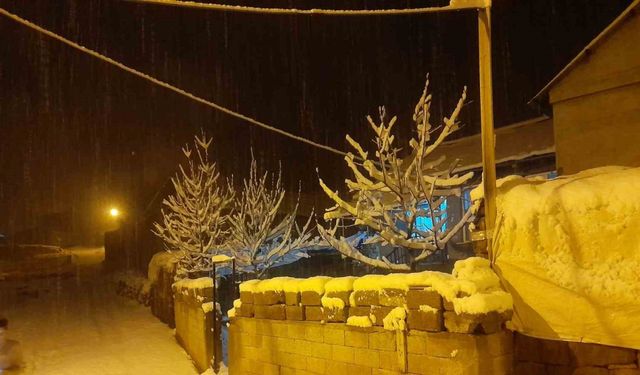 Ahlat’ta kar yağışı