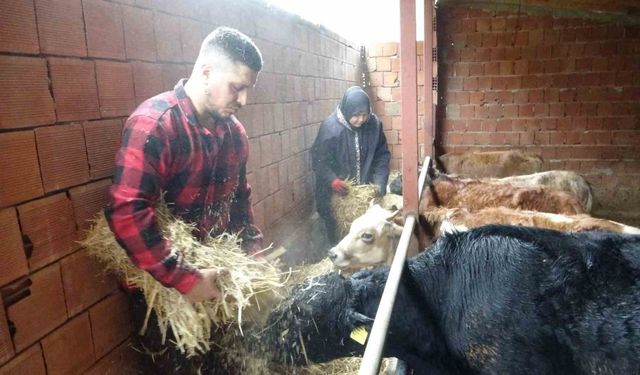 Almanya’dan köyüne döndü, çobanlık yapmaya başladı